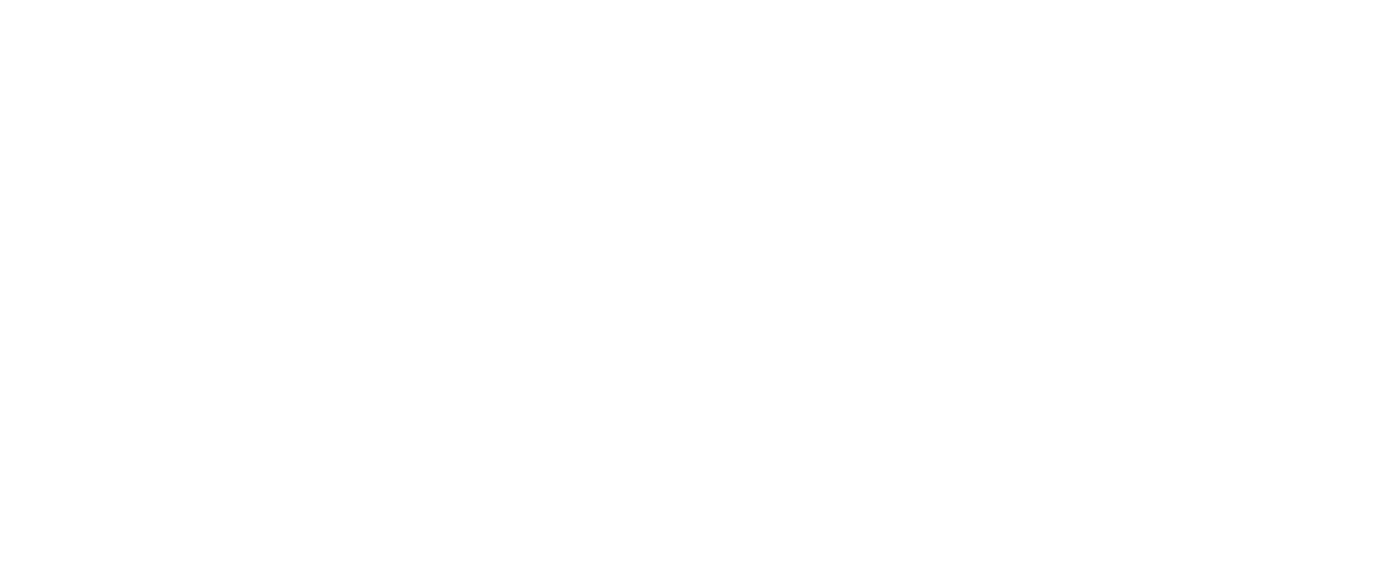 The Bitcoin Layer